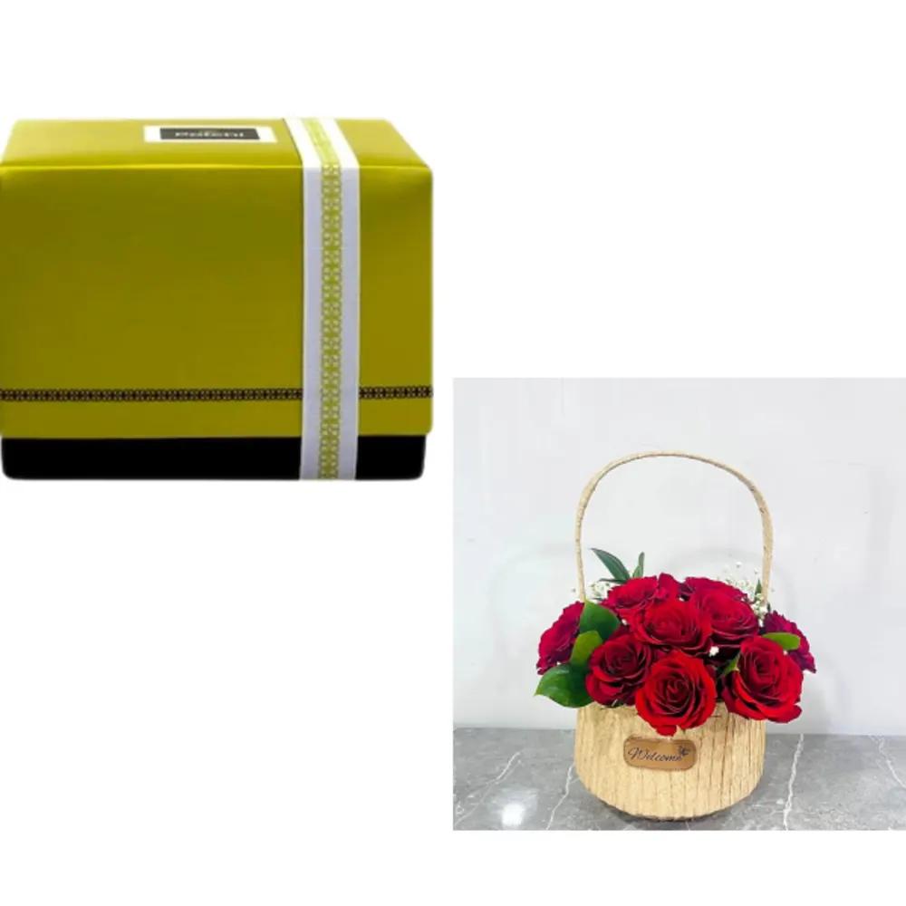 Patchi Bundle 6330undefined