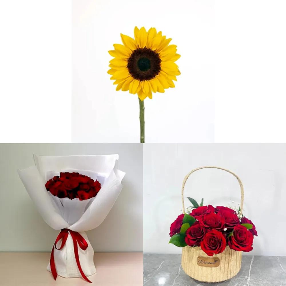 sun Bundle 9200undefined