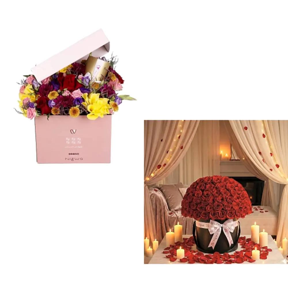 Nigwa Bundle 5916undefined