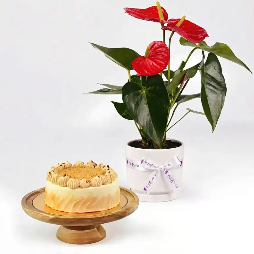 Butterscotch Cake and PlantsBirthday Gift, Celebration Gift, Premium Gift Combo, هدية عيد ميلاد, هدية احتفال, هدية متكاملة فاخرة