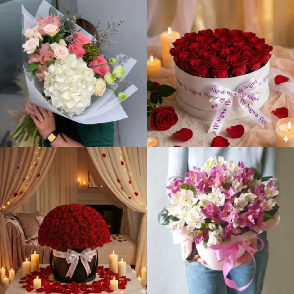 Light Bundle 2093undefined