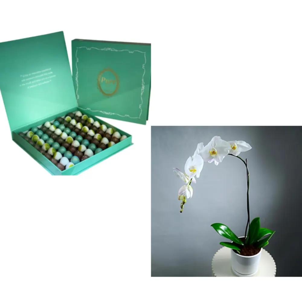 Mixed Bundle 2657undefined