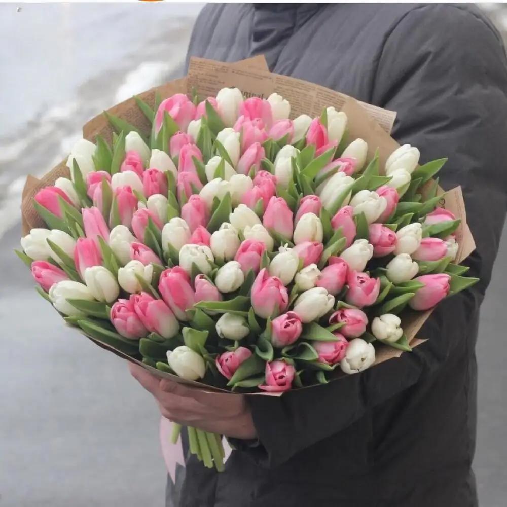 Pink White Tulips Bunch StandardTulip Flowers, ورد التوليب, Pink & White Tulip Flowers